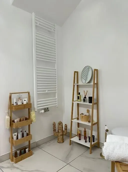 Appart Duplex 87M2 Pres D'Airbus Apartment Toulouse