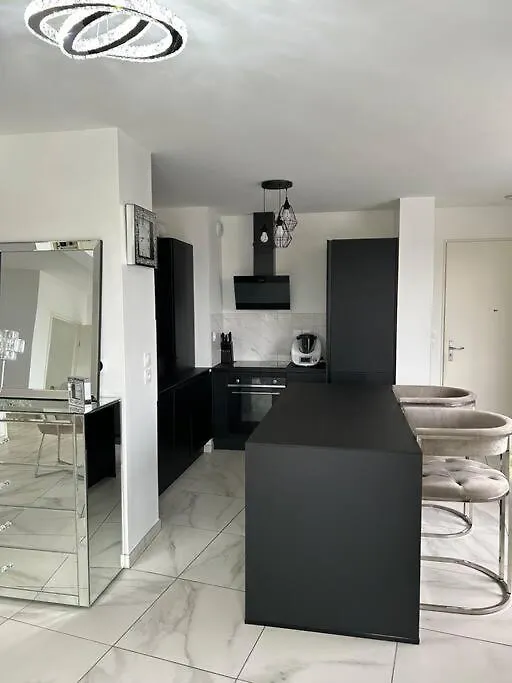 Appart Duplex 87M2 Pres D'Airbus Apartment Toulouse